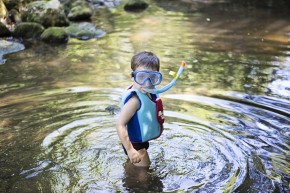 Photo de Dawn Stoloff