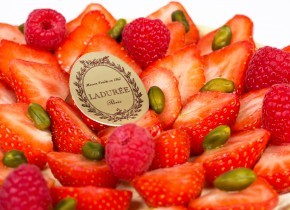 Photo de Julian Schlosser Schlosser