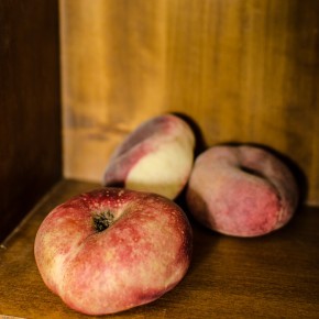 Photo de PAPIN  Alain