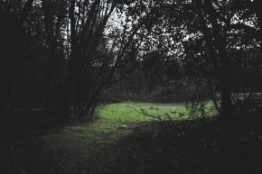 Photo de Romain Devoise