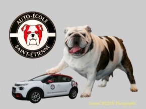 Photo de Samuel BEZIN