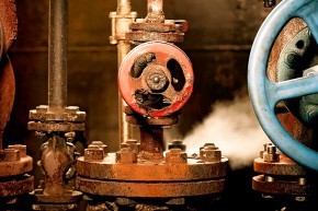 Photo de Patricia  Farcet