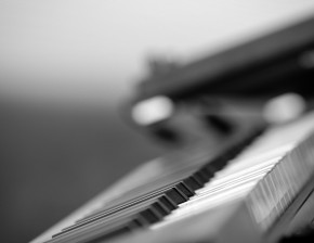 Photo de Thomas Bedin