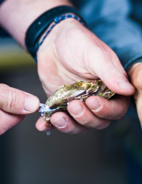 Photo de Thomas Bedin