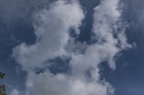 Photo de Gilles De Caevel