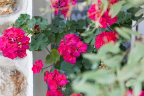 Photo de Gilles De Caevel