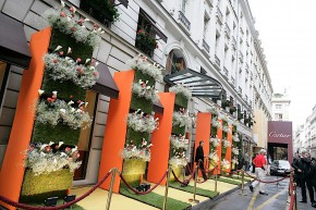 Photo de Sh&eacute;rif Scour