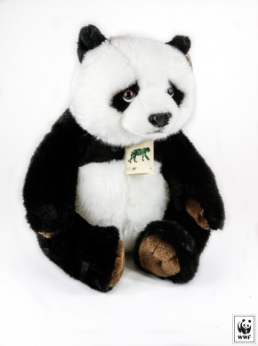 Photo de Shérif Scour