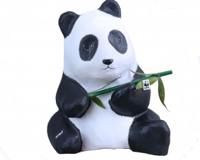 Photo de Shérif Scour