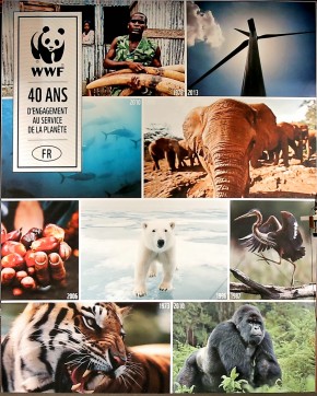 Photo de Sh&eacute;rif Scour