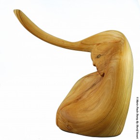 Photo de Shérif Scour