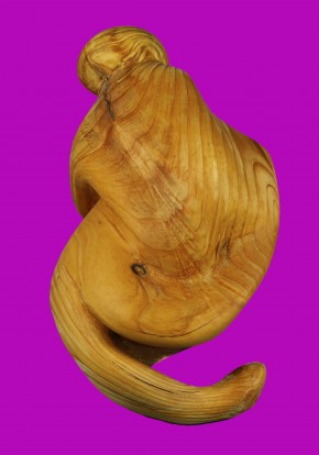 Photo de Shérif Scour