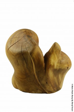 Photo de Sh&eacute;rif Scour