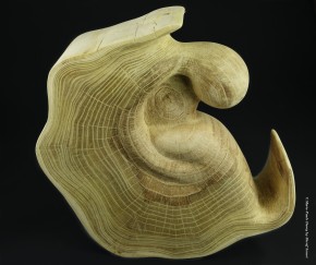 Photo de Sh&eacute;rif Scour