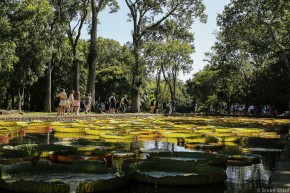 Photo de Sh&eacute;rif Scour