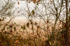 Photo de Shérif Scour