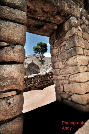 Photo de ZEBALLOS ANDY