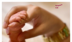 Photo de ZEBALLOS ANDY