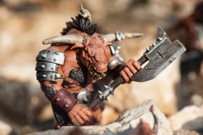 Photo de Bruno BOURLE