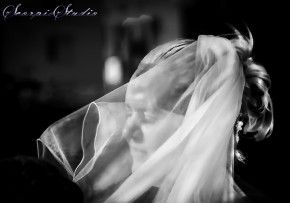 Photo de Bidaux Franck