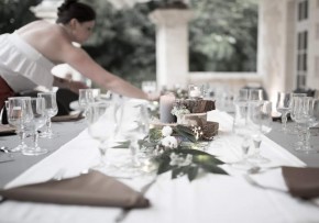 Photo de Cats On the back