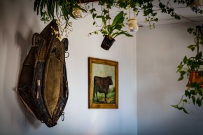 Photo de STUDIO LIEB