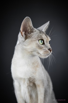 Photo de Gw&eacute;na&euml;lle BRINGER BELLO