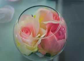 Photo de Amandine  Traversier