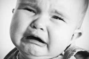 Photo de R&eacute;no Violo