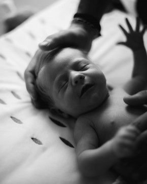Photo de Poret Sébastien Photographe