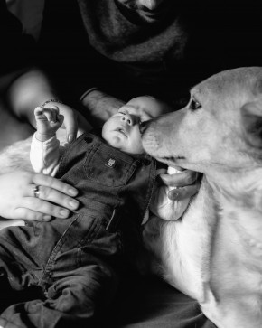 Photo de Poret Sébastien Photographe