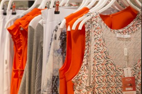 Photo de Thierry COLLAS