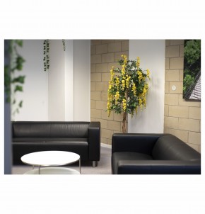 Photo de Alice DIRWIMMER