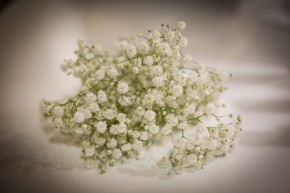 Photo de Imeneb Imeneb