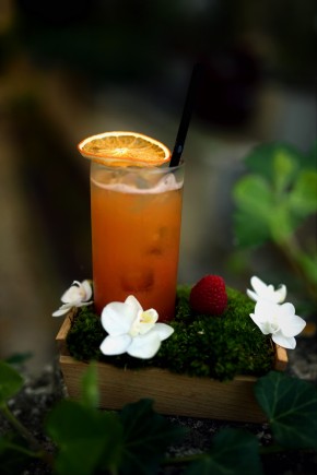 Photo de C&eacute;lia Francillon