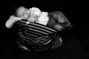 Photo de Damien Merle