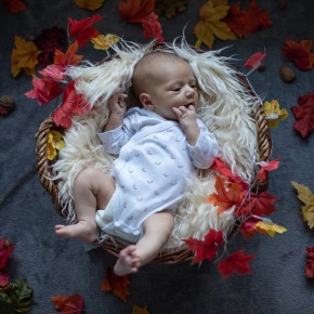 Photo de Claire Rossignol