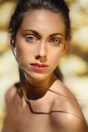 Photo de Benjamin  DAVID-TESTANIÉRE