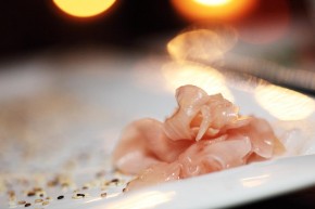 Photo de Benjamin  DAVID-TESTANI&Eacute;RE