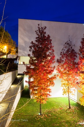 Photo de Manuel Teles