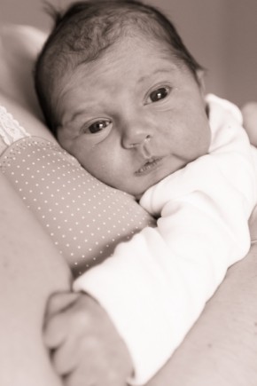 Photo de Sébastien Haye