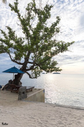 Photo de Alexandre PANG