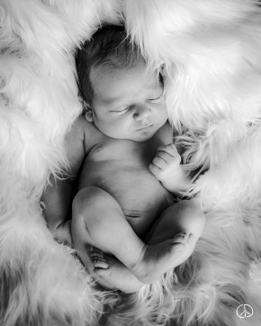 Photo de Cyril Dallest