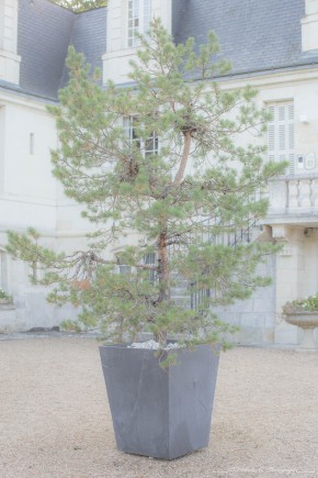 Photo de Nathalie Leicht