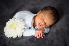 Photo de Polina Laperoux