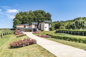 Photo de S&eacute;bastien Mignot